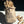 Load image into Gallery viewer, 25 lb Box Cajun Roast Peanuts
